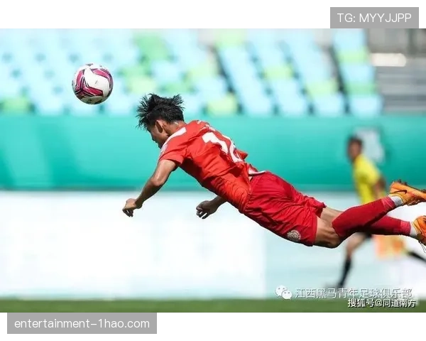 青年球员培养体系完善 AHL成为球星摇篮